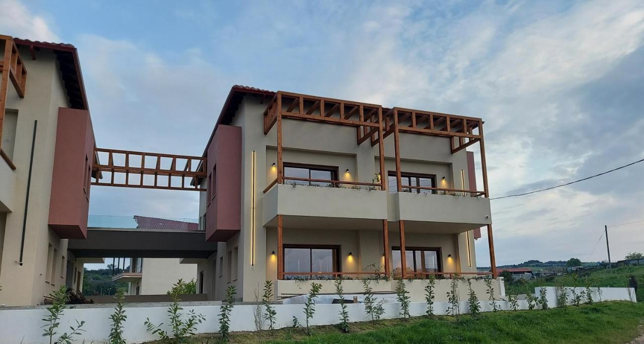 Kynara Elegant Living Aparthotel Ierissós Buitenkant foto